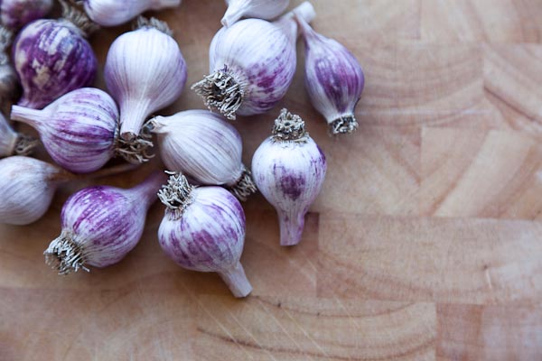 Garlic, first harvest.